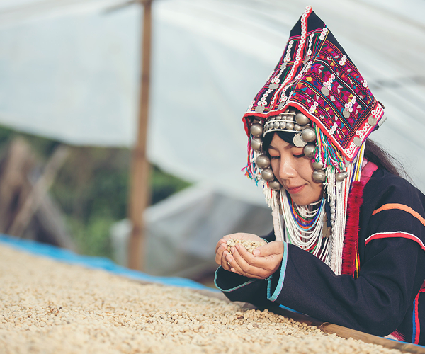 WET PROCESSING THE BEANS